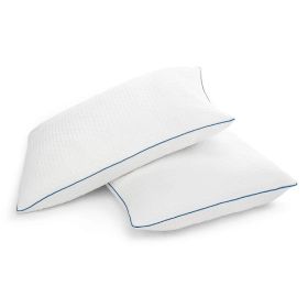 Set of 2 Memory Foam Pillow with Removable Machine Washable Cover (size: King Size)